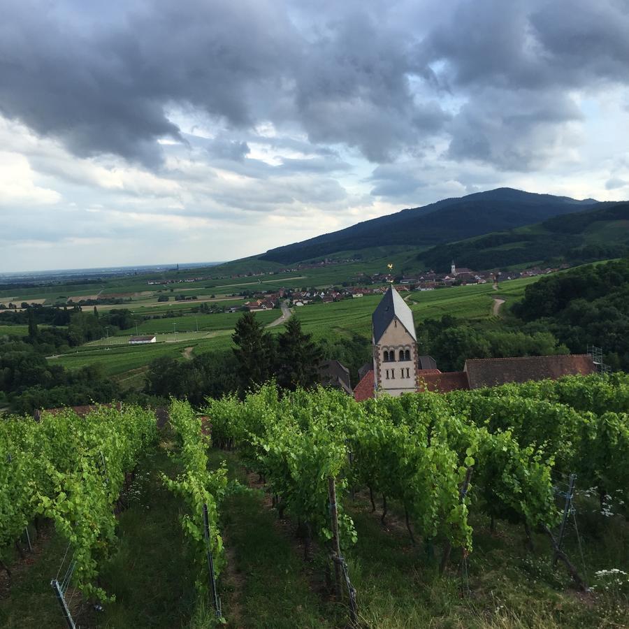 Gite Fleur De Vignes Итевиллер Экстерьер фото